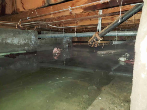 Best Water damage contractors near me  in Dublin, GA