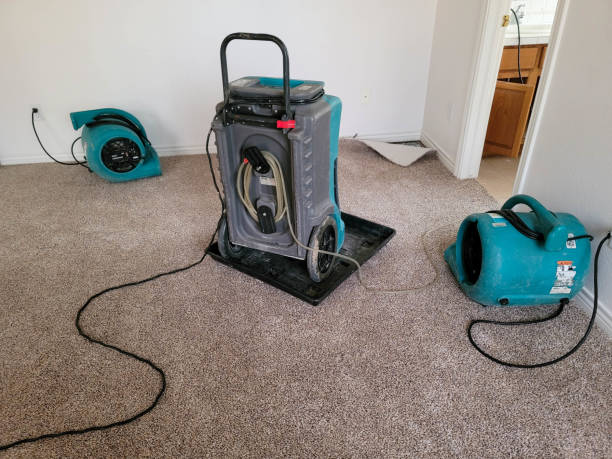 Best 24/7 water damage repair  in Dublin, GA