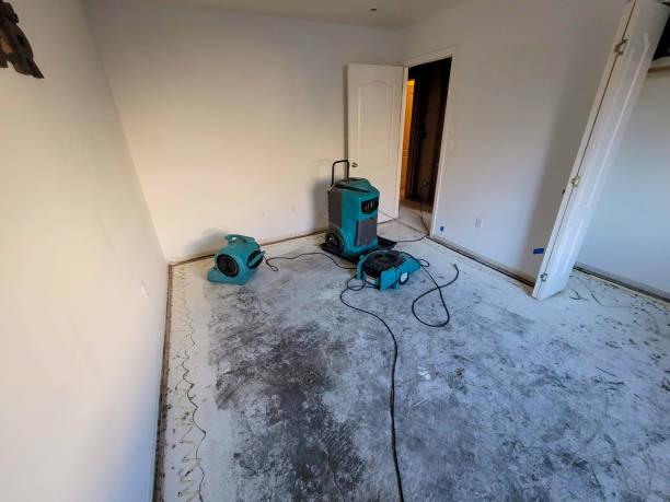 Best Water damage restoration near me  in Dublin, GA