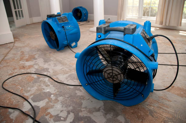 Best Sewage cleanup and water damage restoration  in Dublin, GA