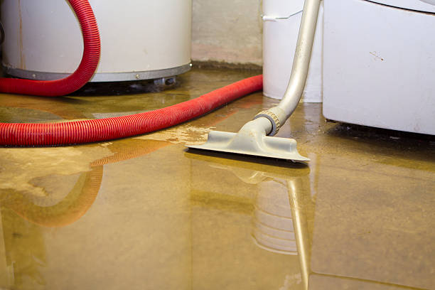 Best Mold removal after water damage  in Dublin, GA