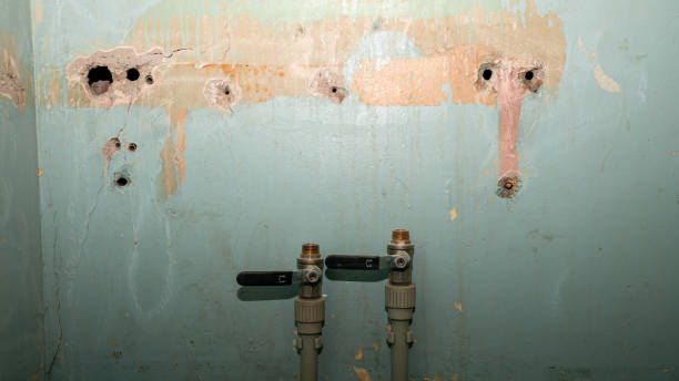 Best Water damage mitigation services  in Dublin, GA