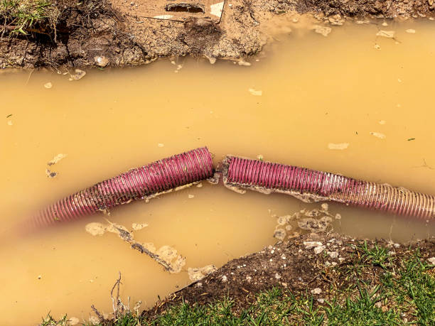 Best 24-hour water damage restoration  in Dublin, GA
